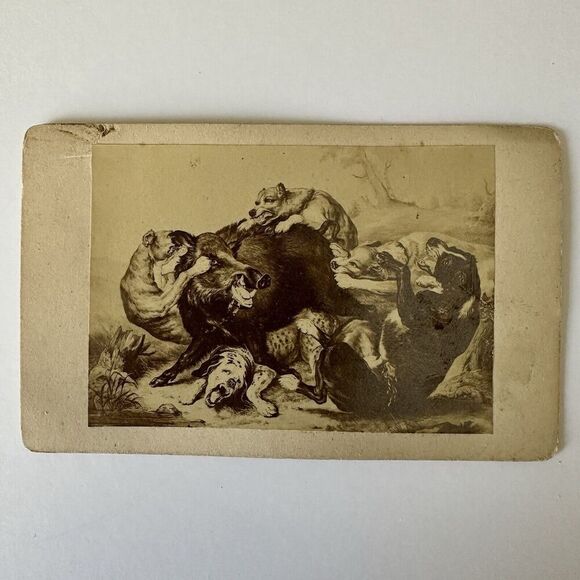 Antique CDV Card J. Jacobz Wild Boar Hunt 1900s 4”x2.5” - Picture 1 of 2